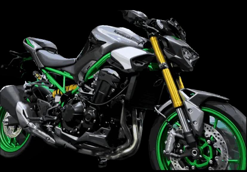 Kawasaki Z900 & Z900 SE 2025